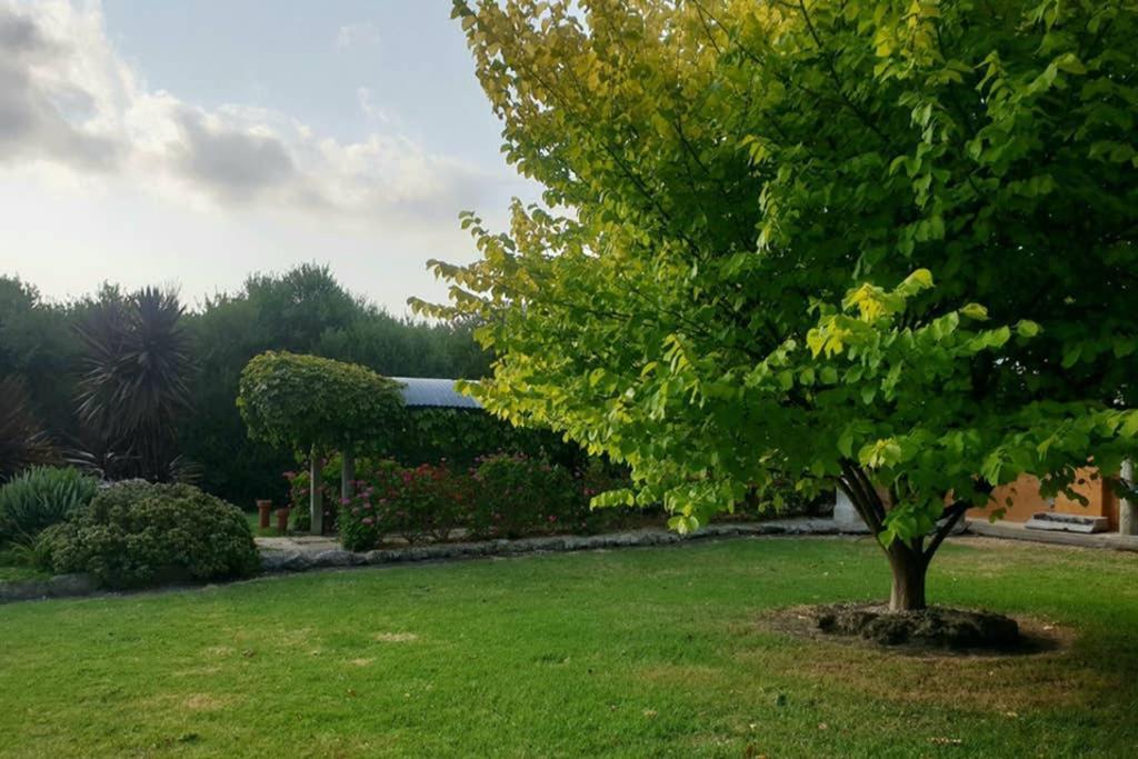 Bella Mia Tuscan Paradise Mount Gambier Buitenkant foto