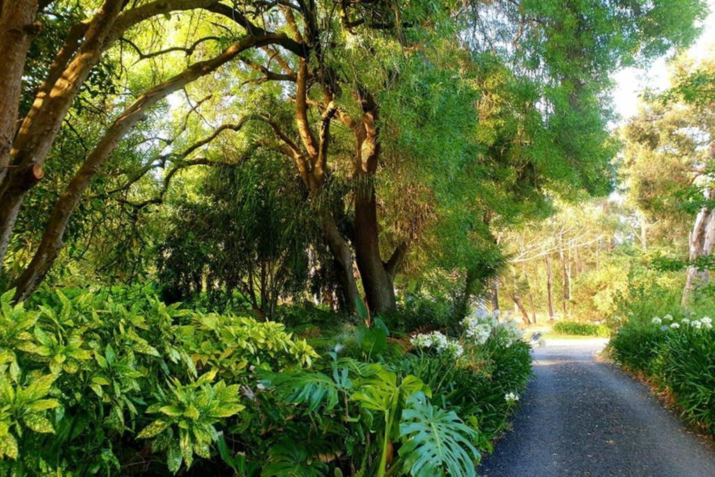 Bella Mia Tuscan Paradise Mount Gambier Buitenkant foto